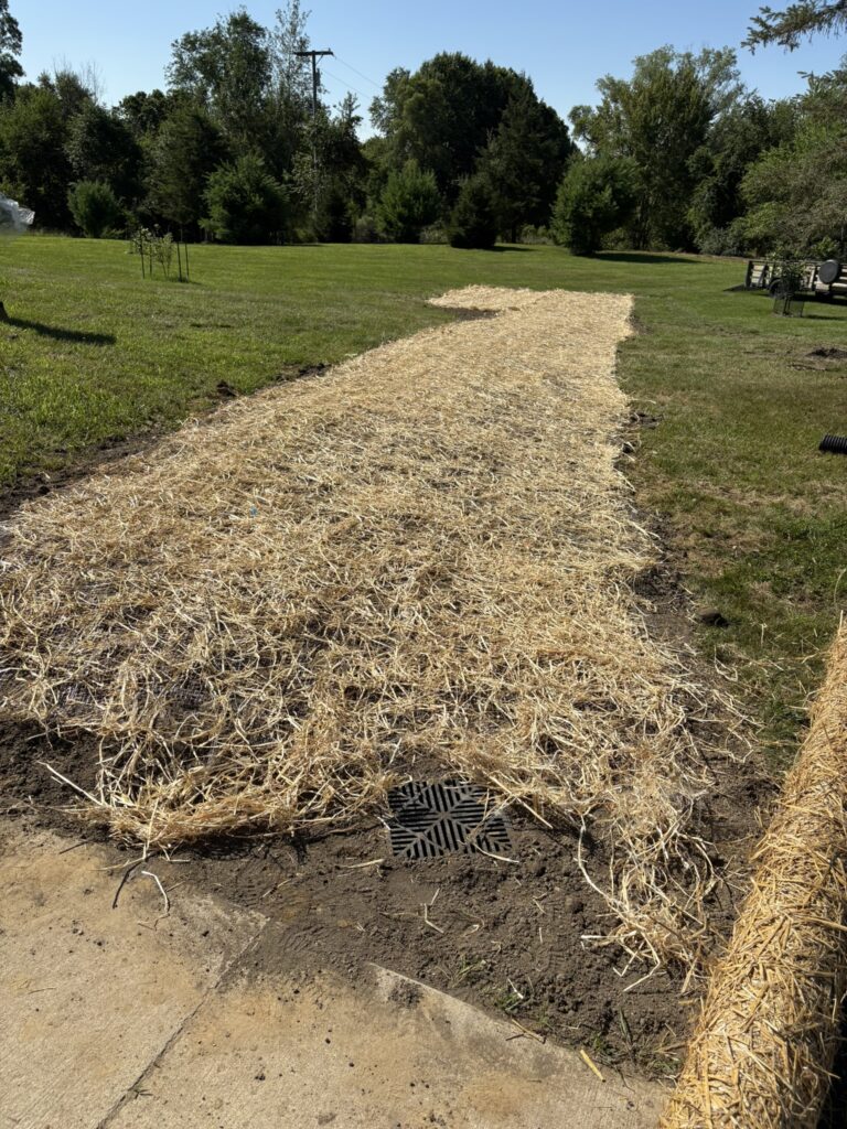 Stamped Concrete and Drainage (14)
